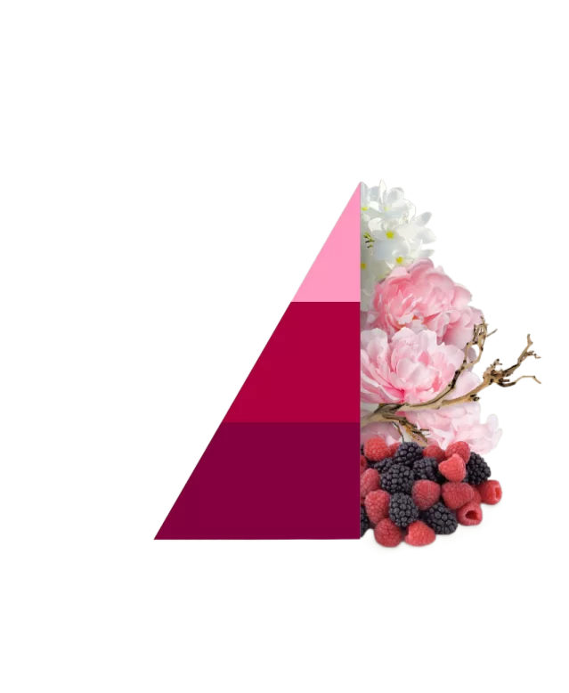 Horomia Geurzakjes Petali di Peonia